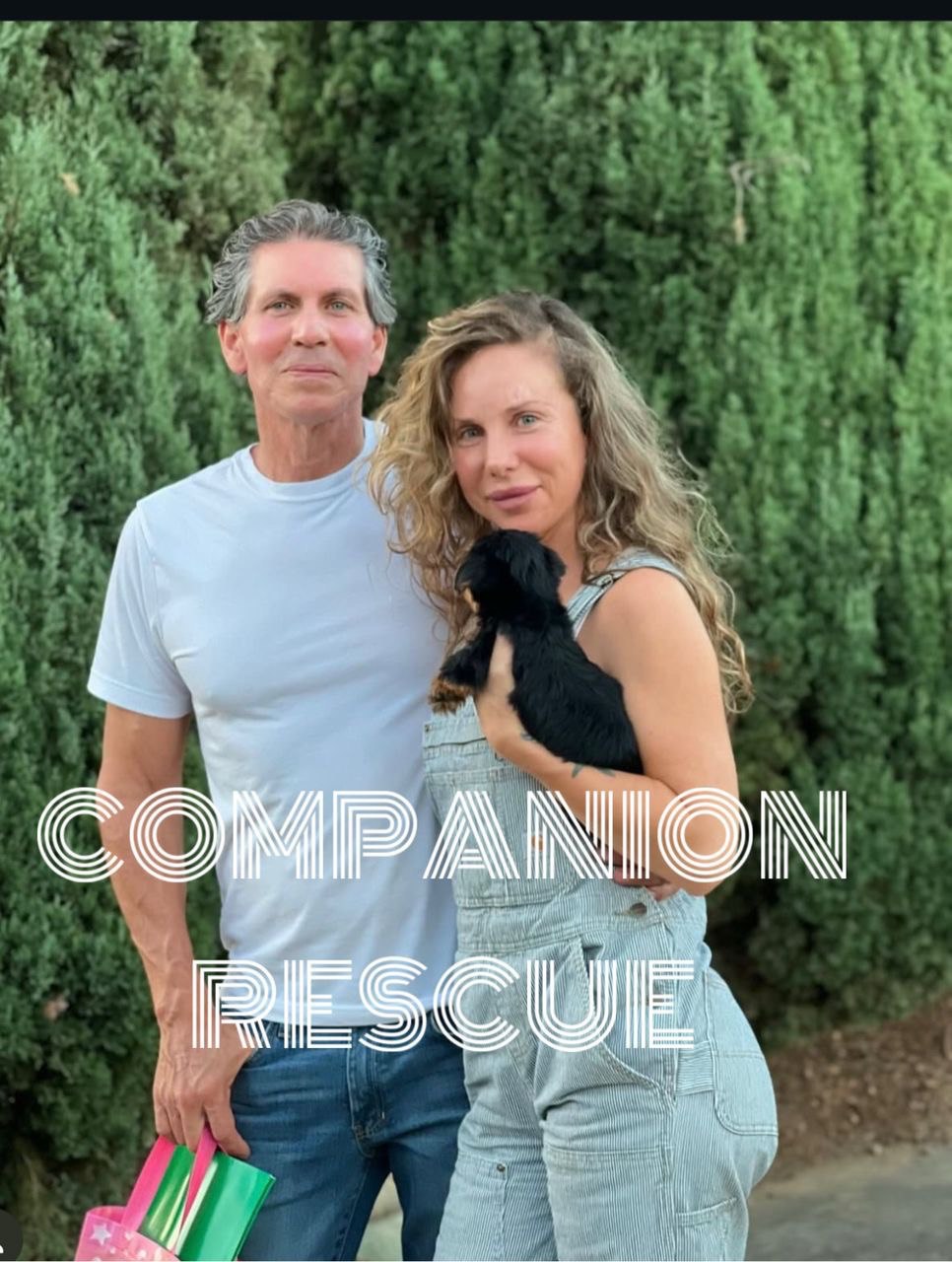 smiling Yorkshire Terrier in a loving forever home from Yorkie Companion Rescue.