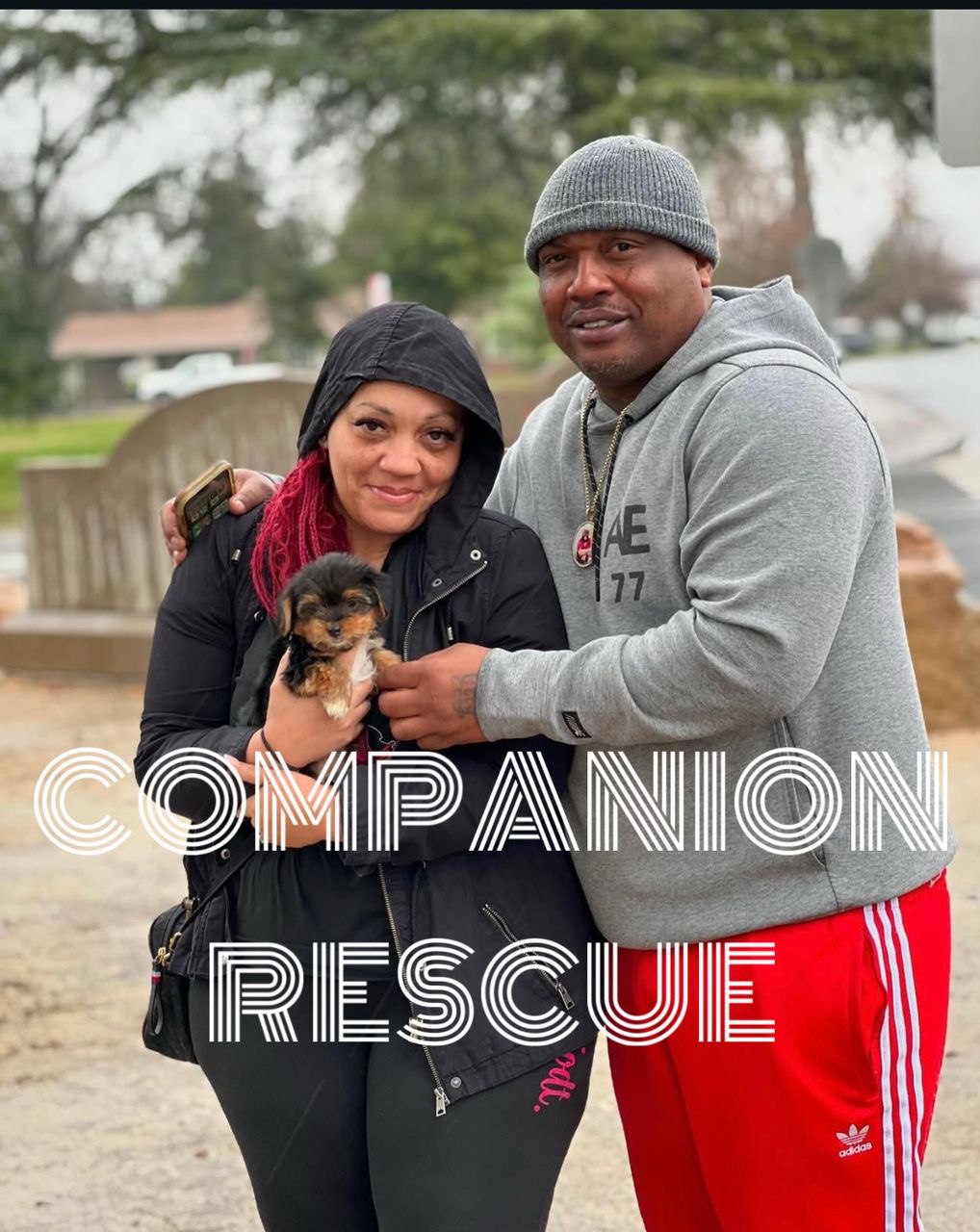 A volunteer caring for a rescued Yorkshire Terrier at our facility.