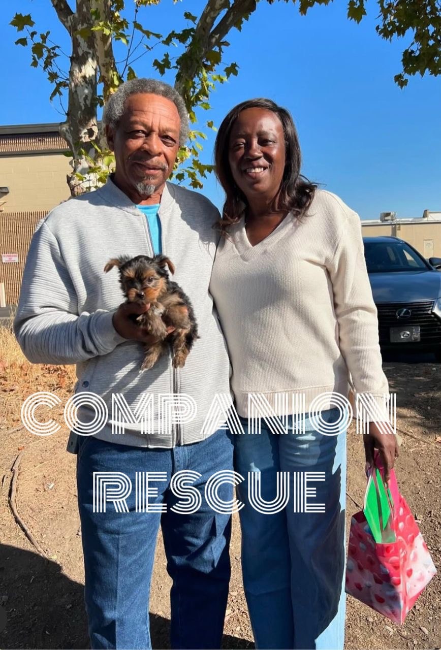 A family filling out an adoption application for a Yorkshire Terrier.