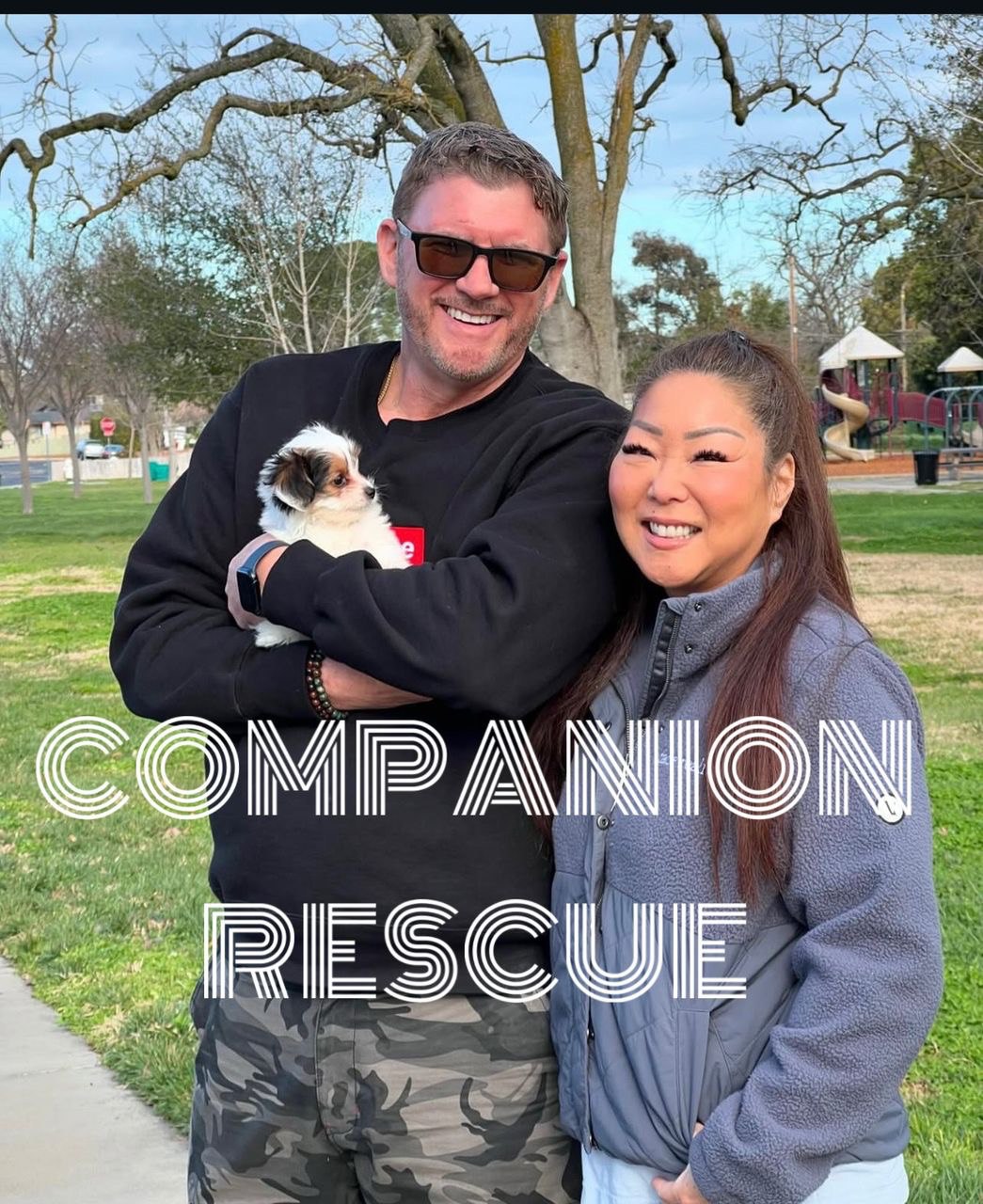 happily adopted from Yorkie Companion Rescue, living a great life with his new family.